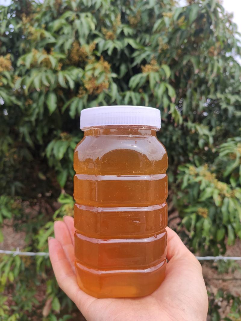 广西蜂蜜：滋养生活的甜蜜使者